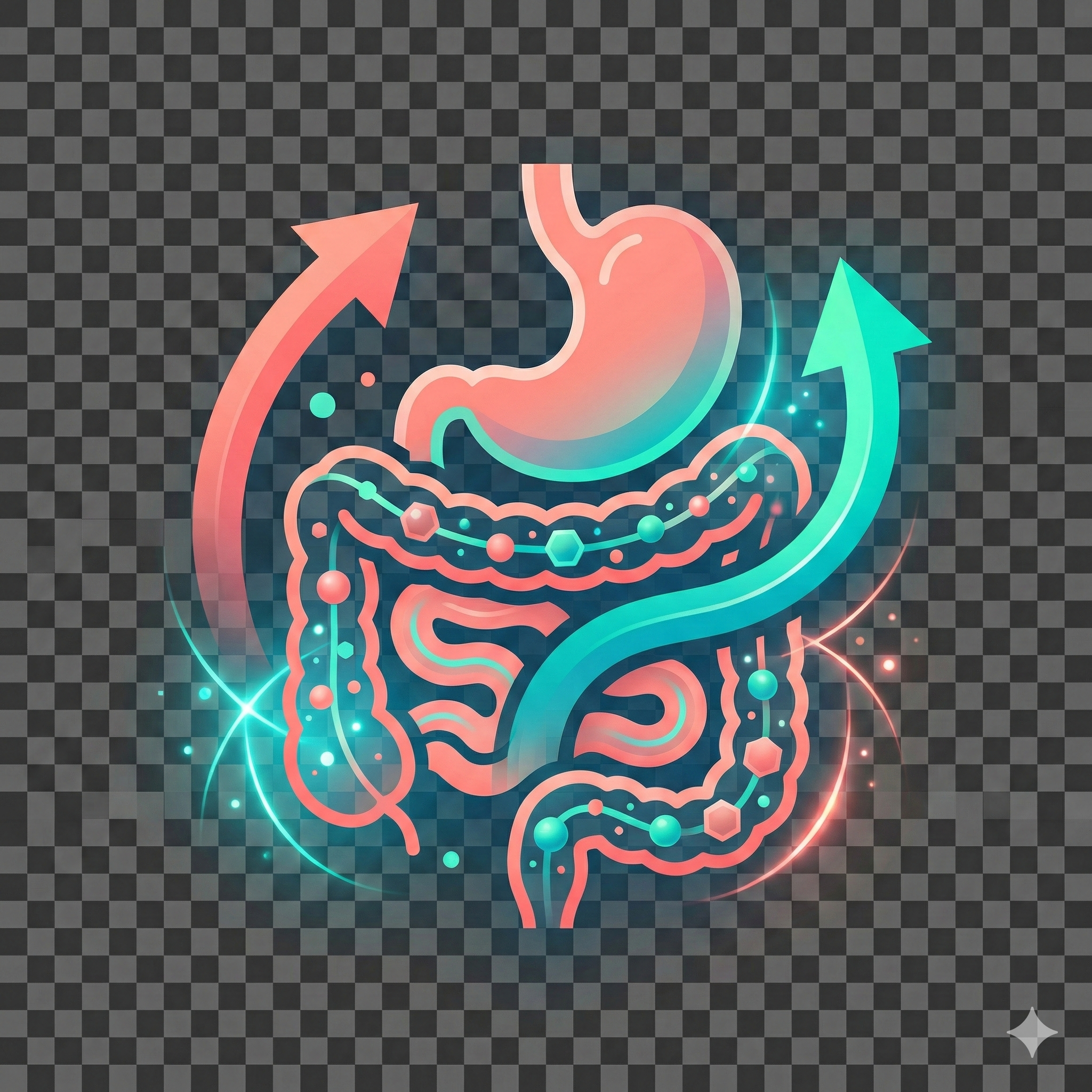 Digestive Enhancement