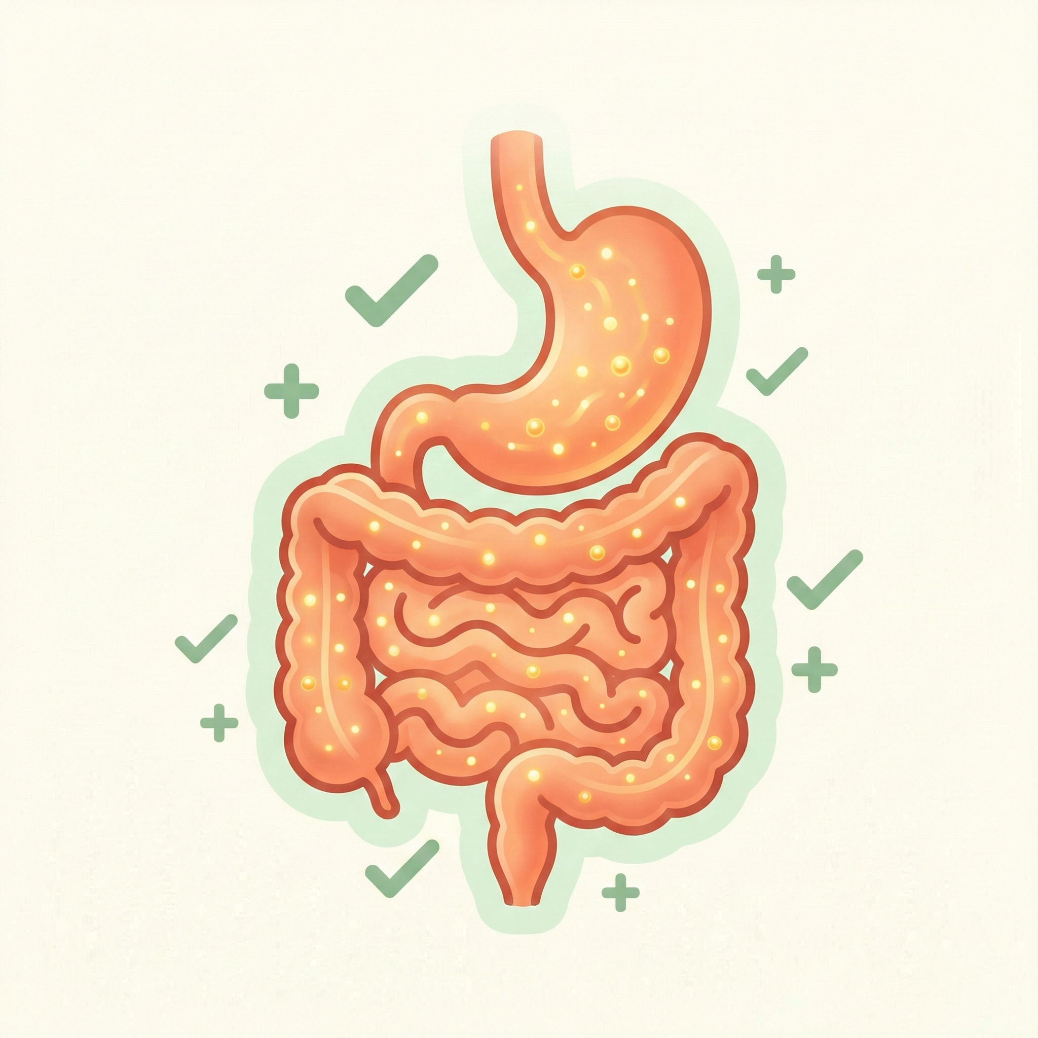 Digestive Health